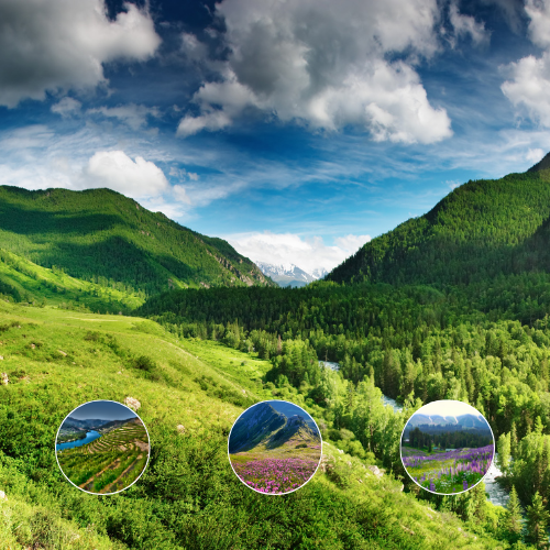 Valley of Flowers Trek Package